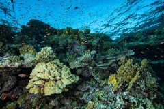 1A9A0927