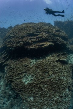 1A9A1110