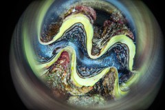 1A9A1227