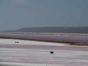 Pink Lake