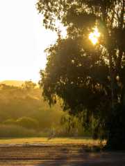 HuttRIver