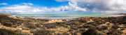 SharkBay