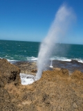 BlowHoles