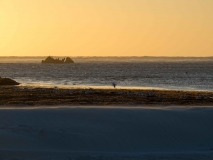 Lancelin