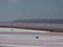 Pink Lake