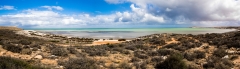 SharkBay