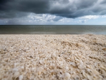 SharkBay