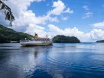 Bandaneira