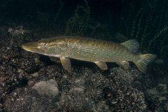 2019-09-11_Malerecke-10-von-14