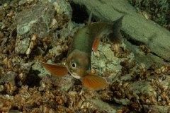 MG_7030