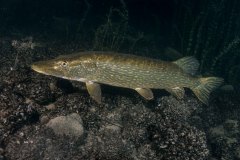 2019-09-11_Malerecke-10-von-14