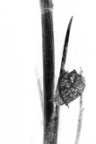 1A9A0245