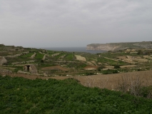 Gozo