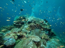 Raja Ampat