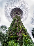 2018-01-01_Singapur (28 von 82)