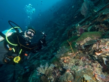 OLYMPUS DIGITAL CAMERA