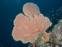 2018-01-06-Canyon (10 von 31)