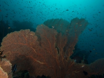 2018-01-06-Canyon (20 von 31)