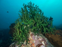 2018-01-06-Canyon (4 von 31)