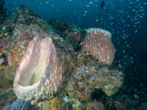 2018-01-06-Canyon (8 von 31)