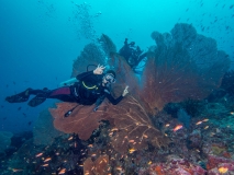 2018-01-07_BateeTokong (19 von 71)