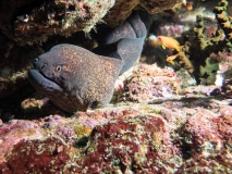 2018-01-07_BateeTokong (39 von 71)