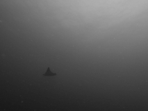 2018-01-07_BateeTokong (49 von 71)