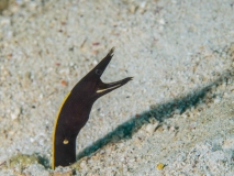 2018-01-10_SelakuCave (18 von 83)