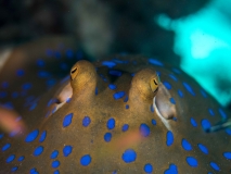 2018-01-10_SelakuCave (21 von 83)