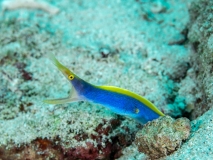 2018-01-10_SelakuCave (41 von 83)