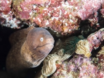 2018-01-10_SelakuCave (44 von 83)