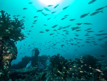 2018-01-10_Tokong (23 von 67)