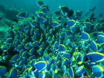 2018-01-10_Tokong (50 von 67)