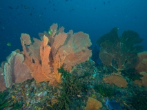 2018-01-10_Tokong (8 von 67)