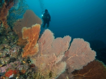 2018-01-12_Canyon (8 von 46)