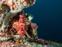 2018-01-12_SelakuDrift (13 von 26)