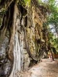 Krabi